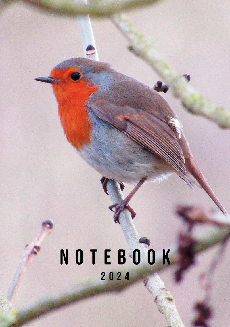 A5 Robin Notebook 2024