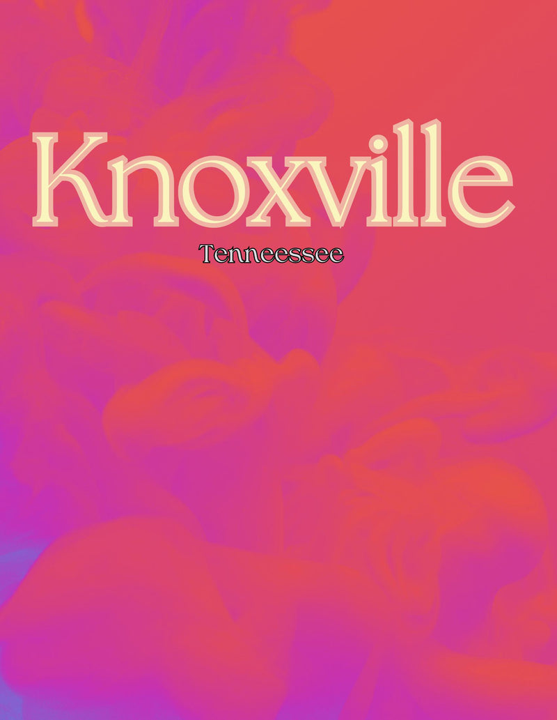 Decorative Book- Knoxville Hot Pink Clouds