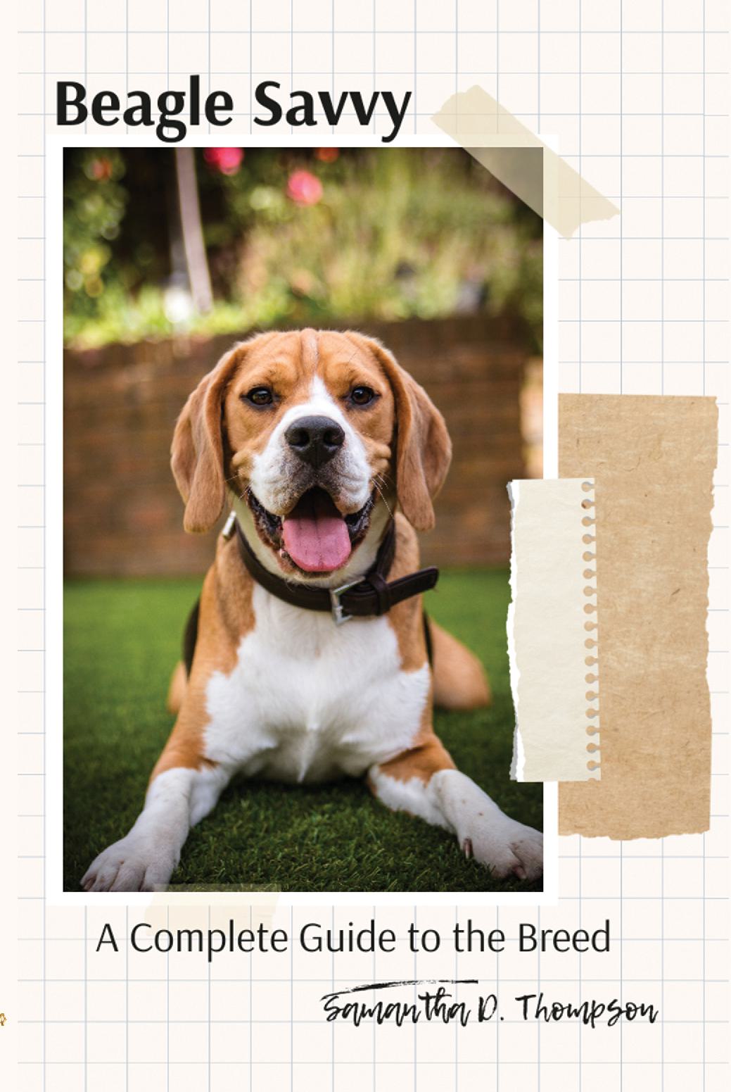 Beagle Savvy A Complete Guide to the Breed
