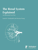 The Renal System Explained