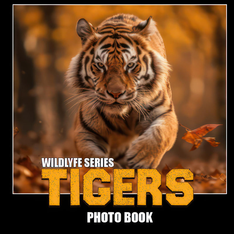 Tigers - The Photo Book