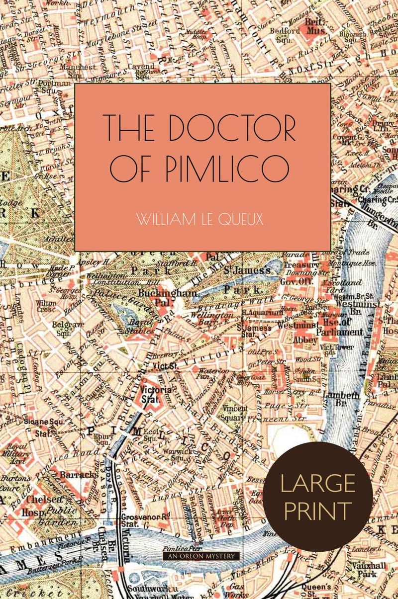 The Doctor of Pimlico - Large Print Edition