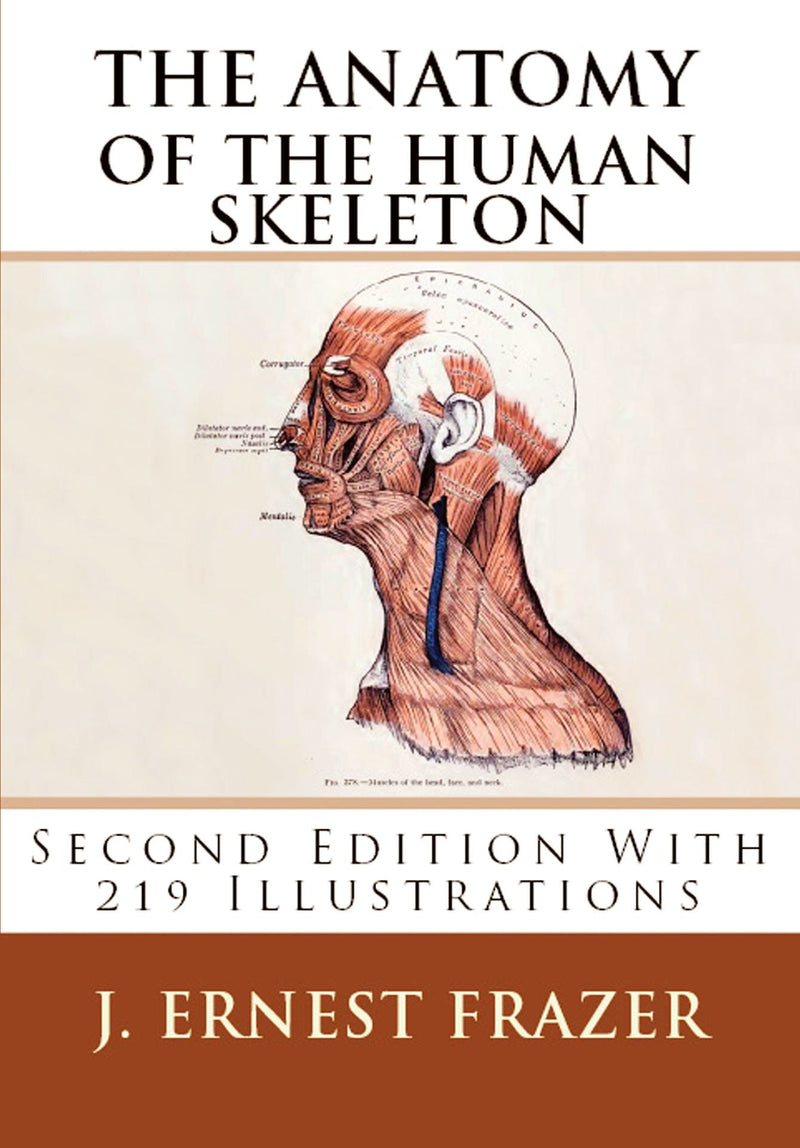 The Anatomy of the Human Skeleton
