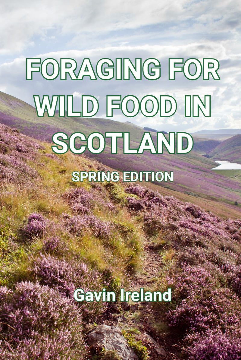 Foraging for Wild Food in Scotland - Spring Edition