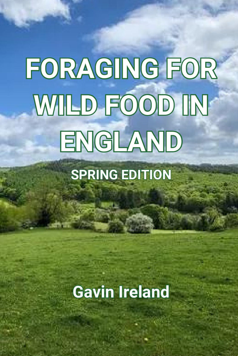 Foraging for Wild Food in England - Spring Edition