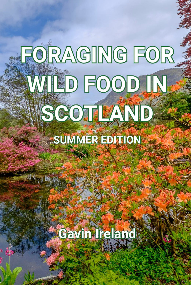 Foraging for Wild Food in Scotland - Summer Edition