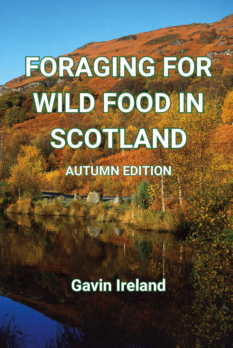 Foraging for Wild Food in England - Autumn Edition