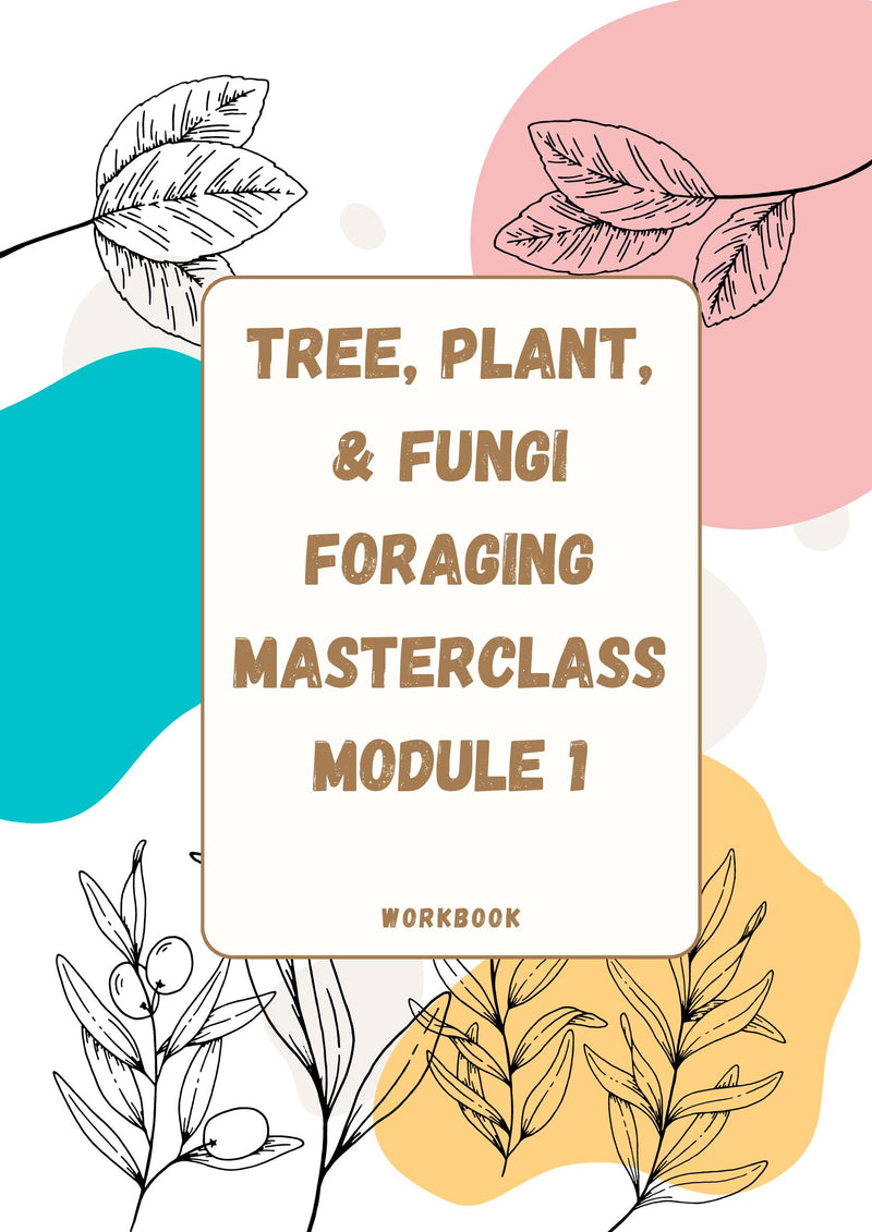 Tree, Plant, & Fungi Foraging Masterclass Module 1 Workbook