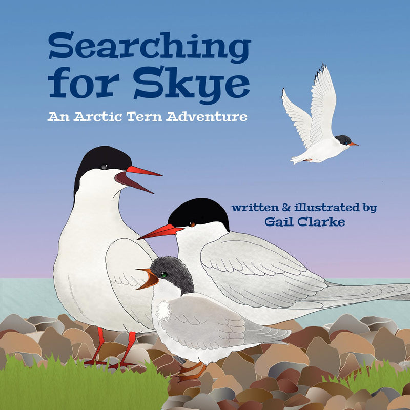 Searching for Skye, An Arctic Tern Adventure