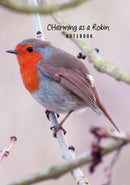 A5 Charming as a Robin Notebook