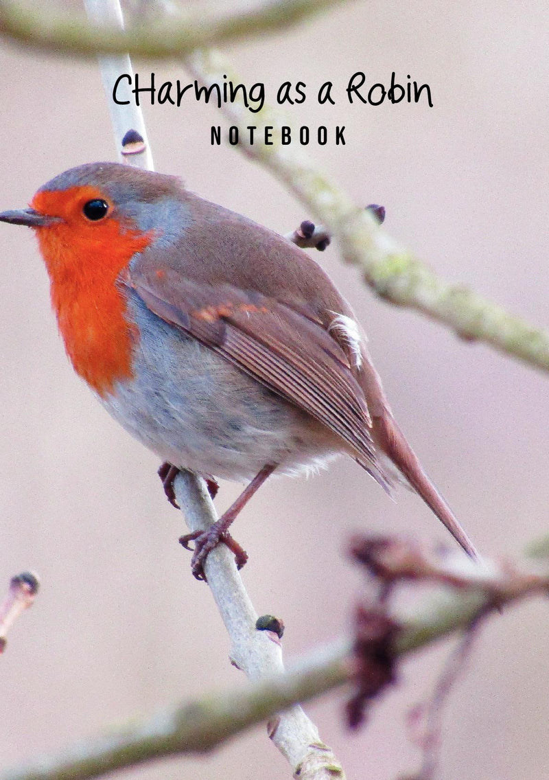 A5 Robin Notebook
