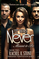  It Was Never Meant to Be (Forbidden Temptations Series, Large Print Paperback Book 2)