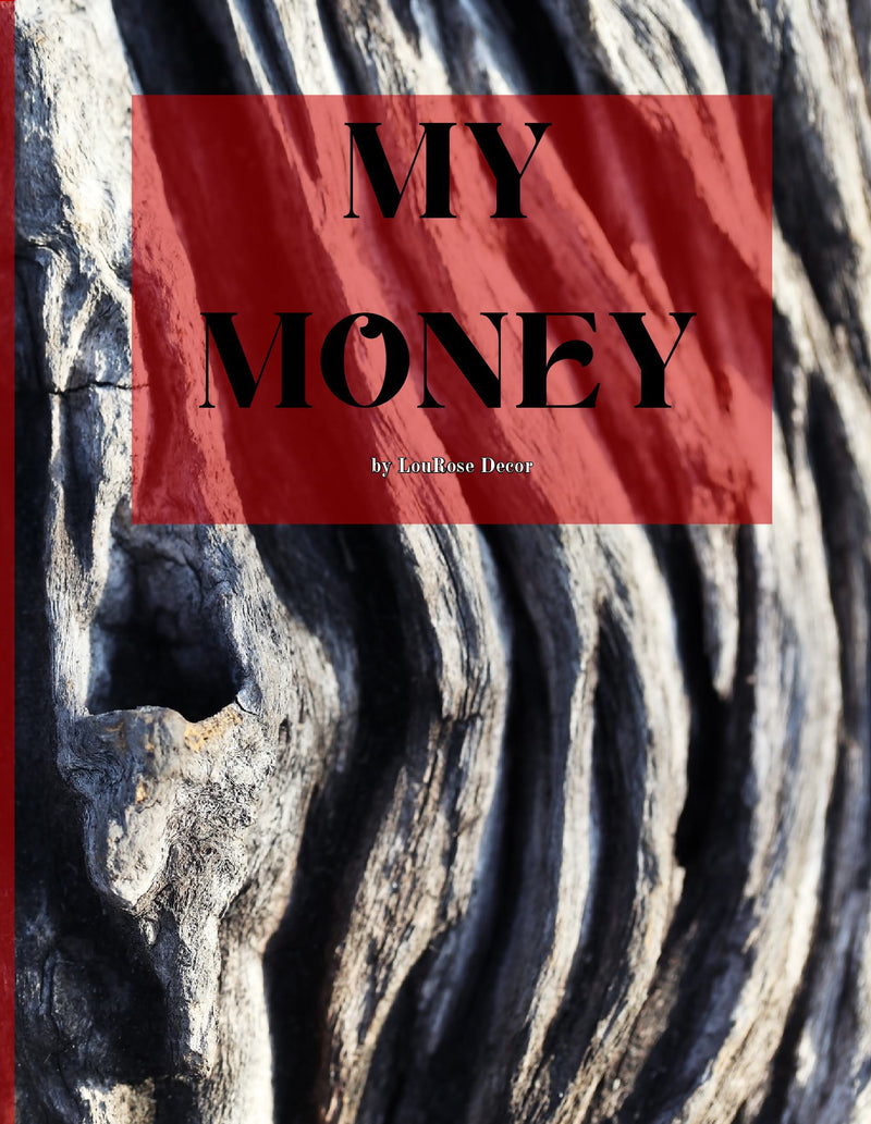Decorative Books- My Money Red