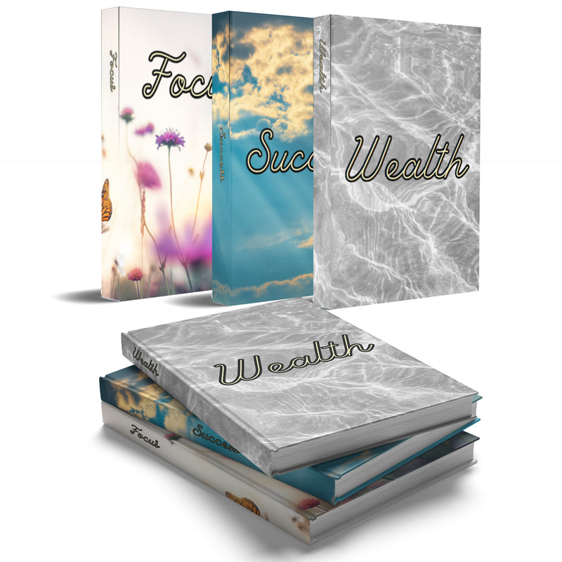 Wealth Success Focus Decorative Books