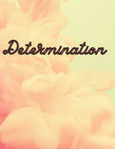 Decorative Books- Determination Light Pink