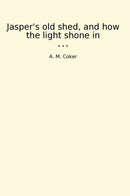 Jasper's old shed, and how the light shone in