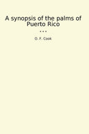 A synopsis of the palms of Puerto Rico