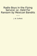 Radio Boys in the Flying Service; or, Held For Ransom by Mexican Bandits