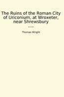 The Ruins of the Roman City of Uriconium, at Wroxeter, near Shrewsbury