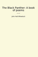 The Black Panther: A book of poems