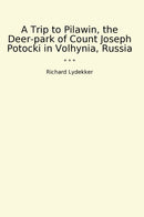 A Trip to Pilawin, the Deer-park of Count Joseph Potocki in Volhynia, Russia
