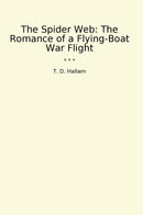 The Spider Web: The Romance of a Flying-Boat War Flight