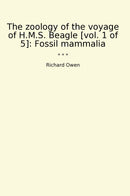 The zoology of the voyage of H.M.S. Beagle [vol. 1 of 5]: Fossil mammalia