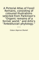 A Pictorial Atlas of Fossil Remains, consisting of coloured illustrations selected from Parkinson's "Organic remains of a former world," and Artis's "Antediluvian phytology."