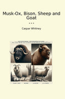 Musk-Ox, Bison, Sheep and Goat