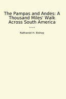 The Pampas and Andes: A Thousand Miles' Walk Across South America