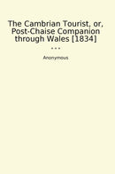 The Cambrian Tourist, or, Post-Chaise Companion through Wales [1834]