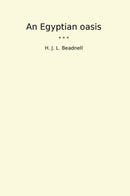 An Egyptian oasis