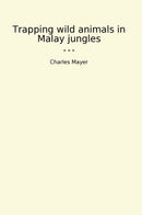 Trapping wild animals in Malay jungles