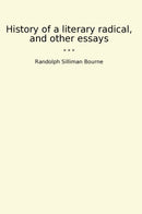 History of a literary radical, and other essays