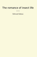 The romance of insect life