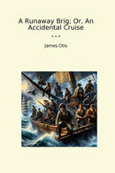 A Runaway Brig; Or, An Accidental Cruise