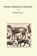 Artistic Anatomy of Animals