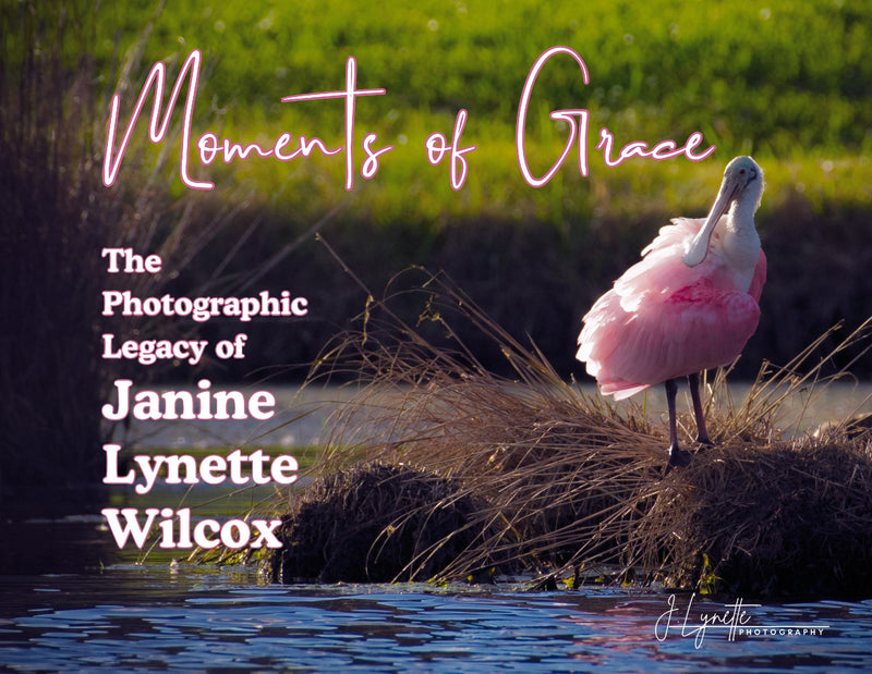 Moments of Grace
