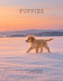 Coffee Table Book of: Puppies (Paperback) - First Snow, Muddy Paws and the Afternoon Nap