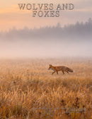 Coffee Table Book of: Wolves and Foxes (Paperback)