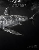Coffee Table Book of: Sharks (Paperback)