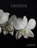 Coffee Table Book of: Orchids (Hardcover)
