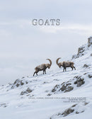 Coffee Table Book of: Goats (Paperback)