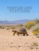 Coffee Table Book of: Turtles and Tortoises (Paperback)