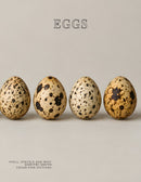 Coffee Table Book of: Eggs (Paperback)