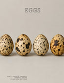 Coffee Table Book of: Eggs (Hardcover)