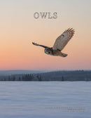 Coffee Table Book of: Owls (Paperback)