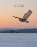Coffee Table Book of: Owls (Hardcover)