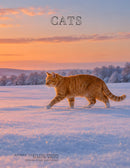 Coffee Table Book of: Cats (Hardcover)