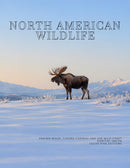 Coffee Table Book of: North American Wildlife (Paperback)